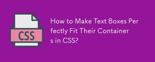 How to Make Text Boxes Perfectly Fit Their Containers in CSS?
