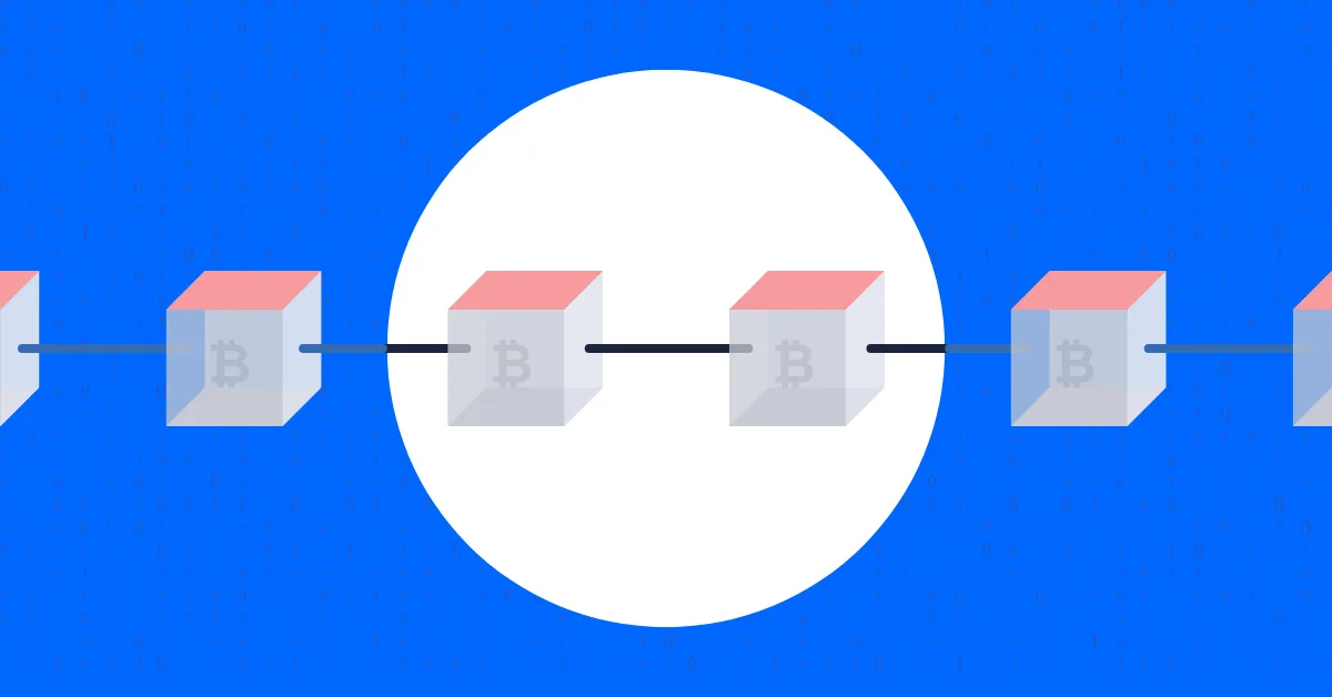 Privacy-Enhancing Tools for Blockchain: ZKPs, zk-SNARKs, Privacy Coins, and Homomorphic Encryption