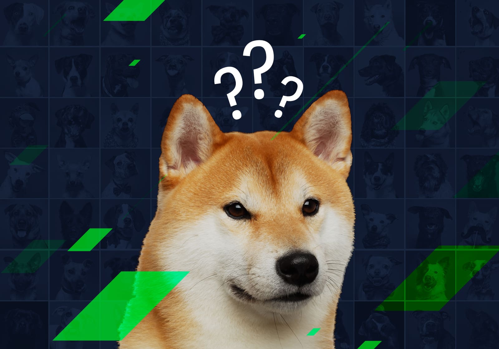 DOGE Day Festivities Begin – Here's The Scoop