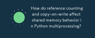 How do reference counting and copy-on-write affect shared memory behavior in Python multiprocessing?