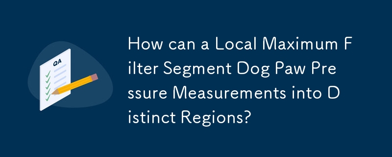 How can a Local Maximum Filter Segment Dog Paw Pressure Measurements into Distinct Regions? 
