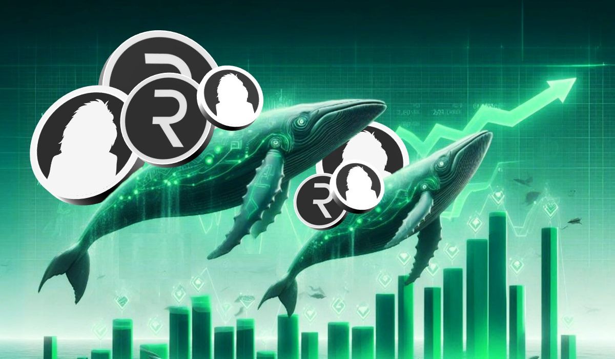 R0AR NFT Collection: A Deep Dive into Features, Benefits, and the Whitelisting Process