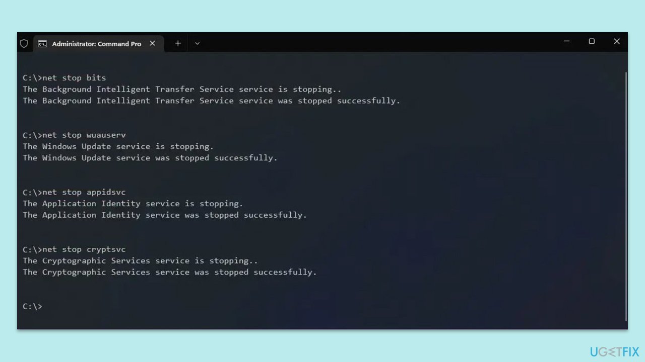如何修复 Windows 中的 WindowsPackageManagerServer.exe 应用程序错误?
