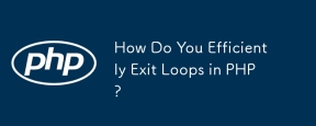 How Do You Efficiently Exit Loops in PHP?