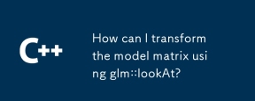 How can I transform the model matrix using glm::lookAt?