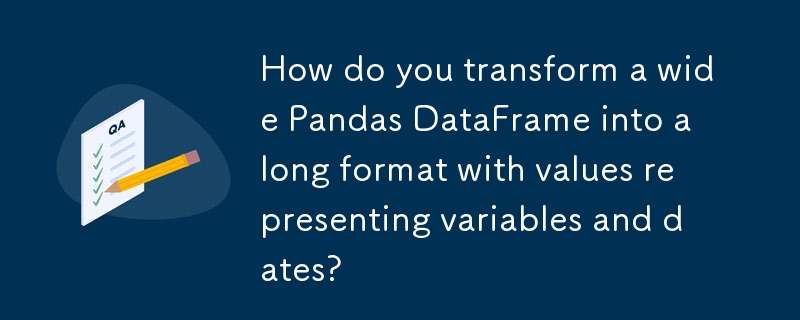How do you transform a wide Pandas DataFrame into a long format with values representing variables and dates?