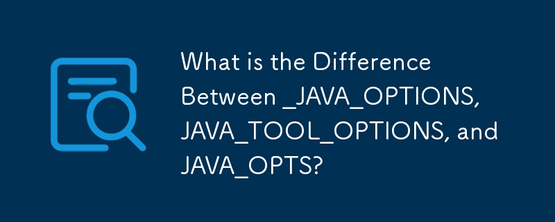 What is the Difference Between _JAVA_OPTIONS, JAVA_TOOL_OPTIONS, and ...