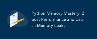 Python Memory Mastery: Boost Performance and Crush Memory Leaks