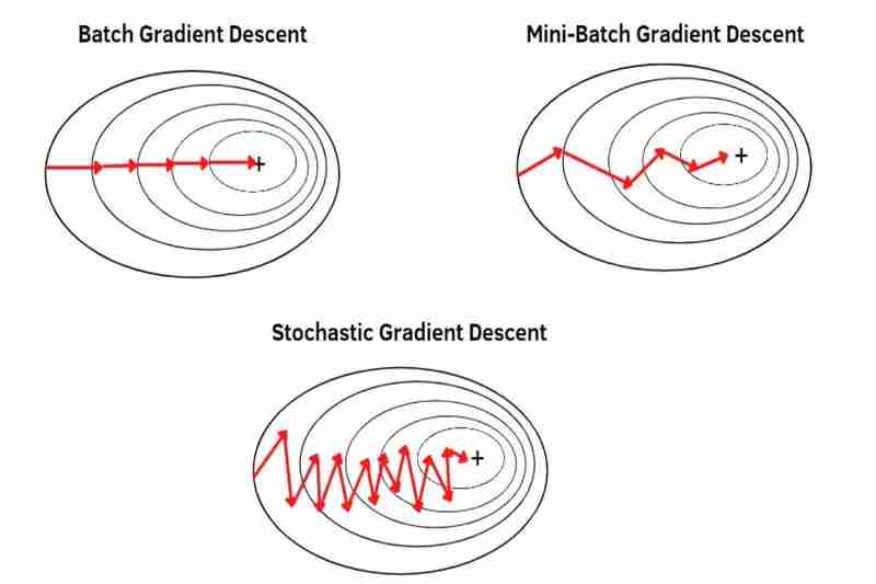 Batch, Mini-Batch & Stochastic Gradient Descent