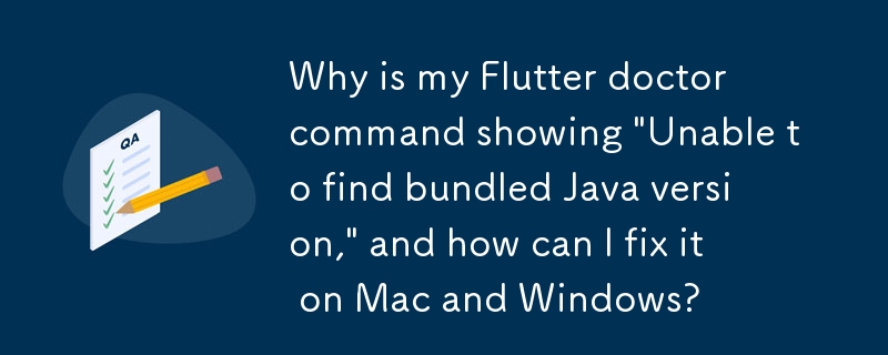 Why is my Flutter doctor command showing