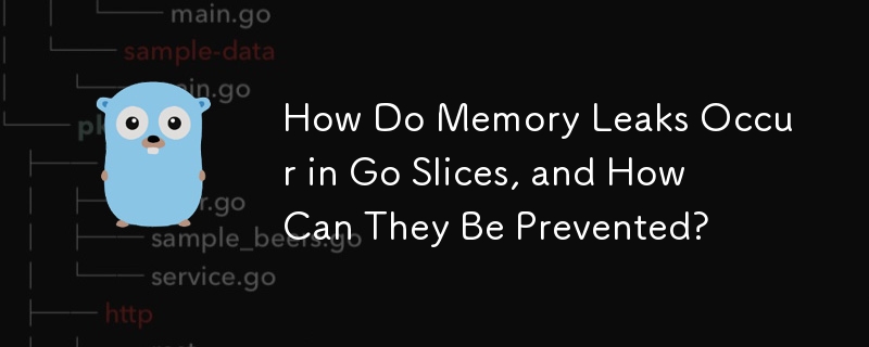 How Do Memory Leaks Occur in Go Slices, and How Can They Be Prevented?
