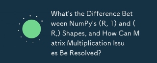 What's the Difference Between NumPy's (R, 1) and (R,) Shapes, and How Can Matrix Multiplication Issues Be Resolved?