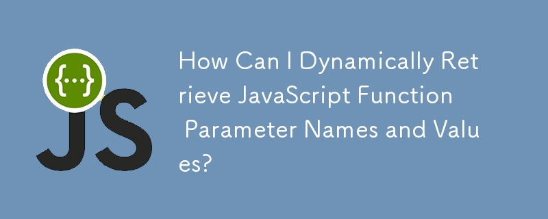 How Can I Dynamically Retrieve JavaScript Function Parameter Names and Values?
