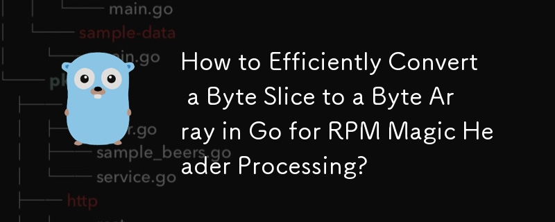 How to Efficiently Convert a Byte Slice to a Byte Array in Go for RPM Magic Header Processing?
