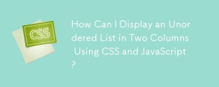 How Can I Display an Unordered List in Two Columns Using CSS and JavaScript?