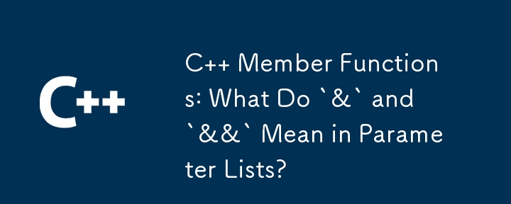 C   Member Functions: What Do `&` and `&&` Mean in Parameter Lists?
