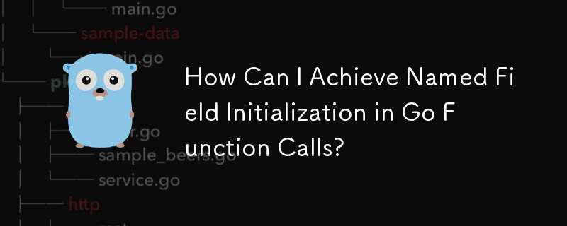 How Can I Achieve Named Field Initialization in Go Function Calls?
