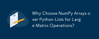 Why Choose NumPy Arrays over Python Lists for Large Matrix Operations?