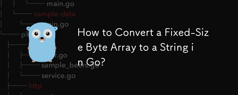 How to Convert a Fixed-Size Byte Array to a String in Go?
