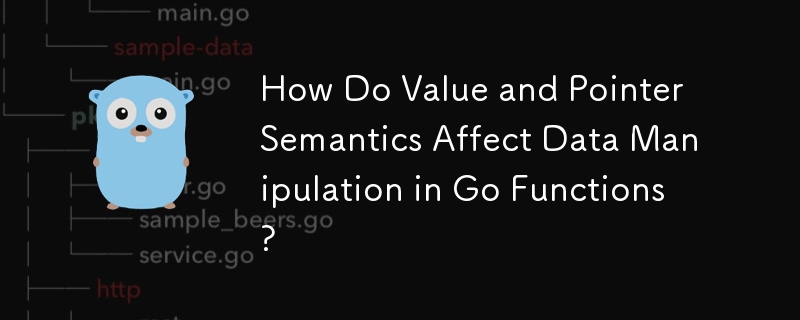How Do Value and Pointer Semantics Affect Data Manipulation in Go Functions?
