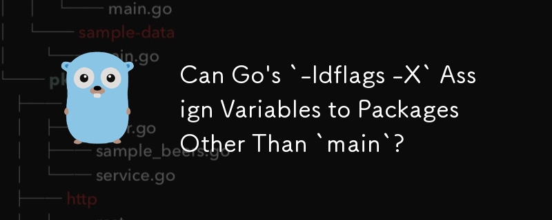 Can Go's `-ldflags -X` Assign Variables to Packages Other Than `main ...