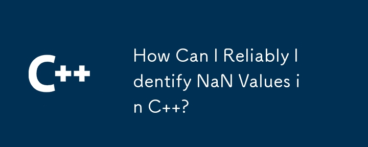 How Can I Reliably Identify NaN Values in C  ?
