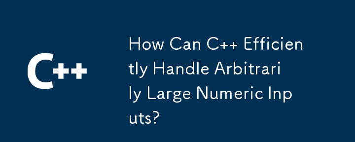 How Can C   Efficiently Handle Arbitrarily Large Numeric Inputs?
