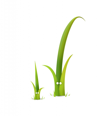 Building a Simple Grav CMS Theme with Twig, PHP, and CSS