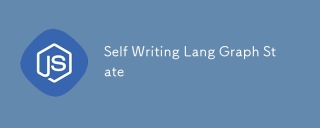 Self Writing Lang Graph State