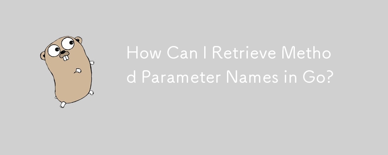 How Can I Retrieve Method Parameter Names in Go?
