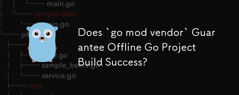 Does `go mod vendor` Guarantee Offline Go Project Build Success?
