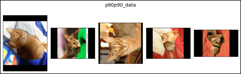 RandomRotation in PyTorch