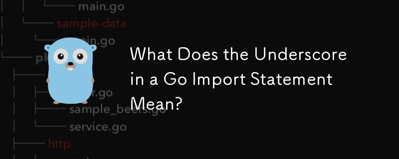 What Does the Underscore in a Go Import Statement Mean?
