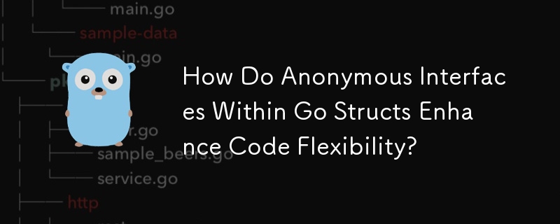 How Do Anonymous Interfaces Within Go Structs Enhance Code Flexibility?
