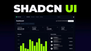 How to Use Shadcn/UI in React.js