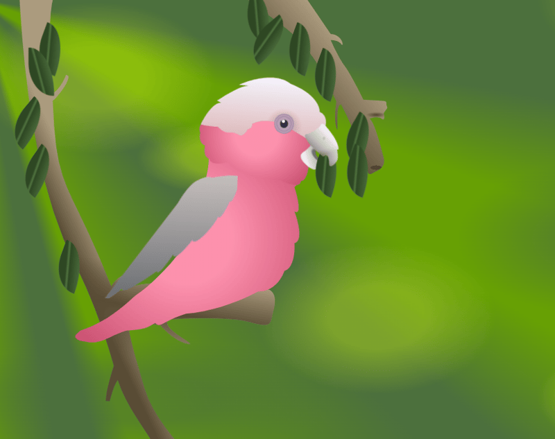 CSS Art: December - Galah Days of Summer