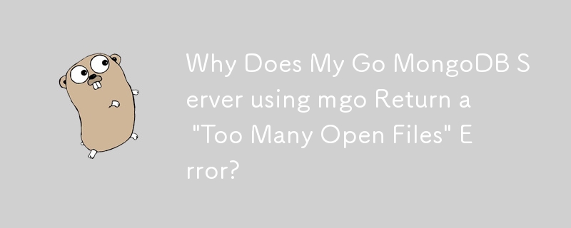 Why Does My Go MongoDB Server using mgo Return a 