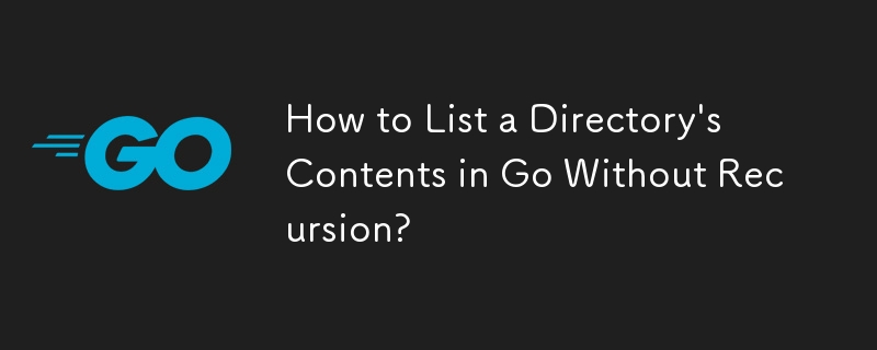 How to List a Directory's Contents in Go Without Recursion?