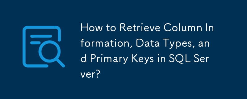 How to Retrieve Column Information, Data Types, and Primary Keys in SQL ...