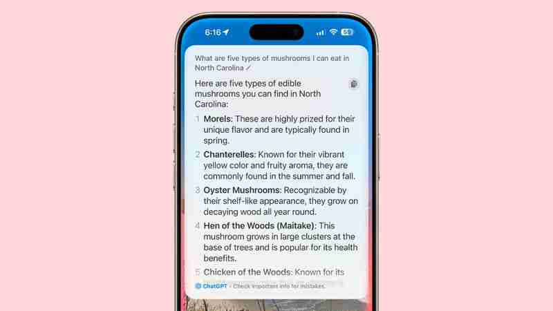 iOS 18.2: Everything You Can Do With ChatGPT Integration