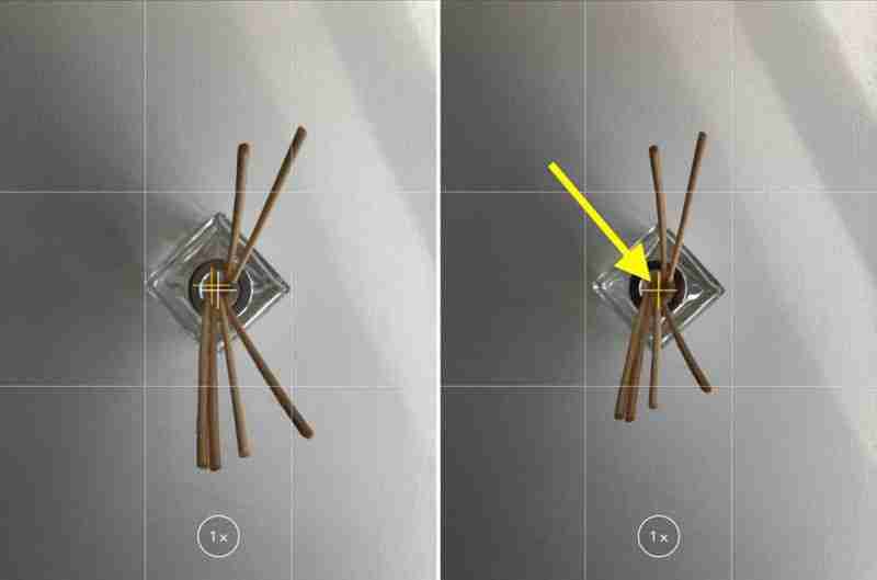 6 iPhone Camera Tips to Enhance Your Photography Skills