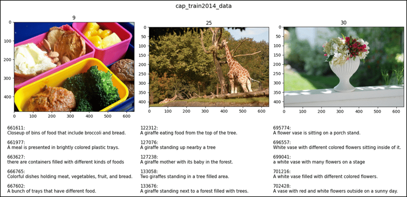 CocoDetection in PyTorch (1)
