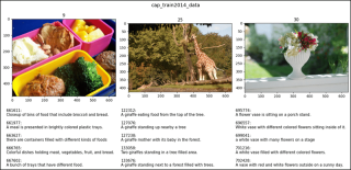 CocoDetection in PyTorch (1)