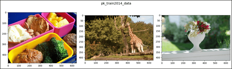 CocoDetection in PyTorch (1)