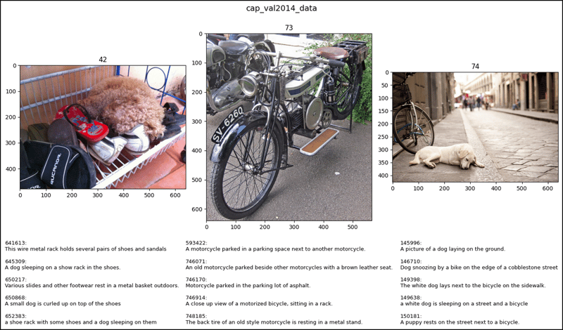CocoDetection in PyTorch (1)