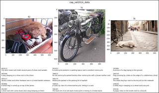 CocoDetection in PyTorch (1)