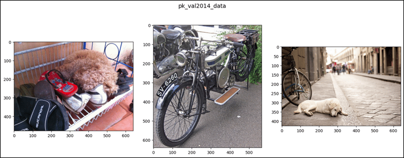 CocoDetection in PyTorch (1)