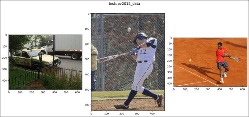 CocoDetection in PyTorch (1)