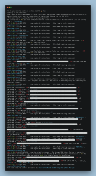 Setting Up Your First Rasa Project