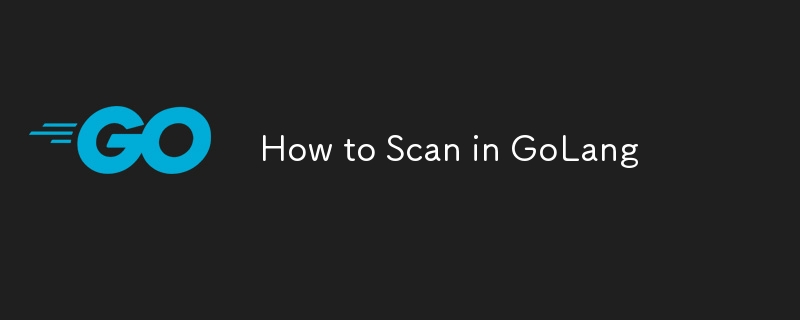 How to Scan in GoLang-Golang-php.cn
